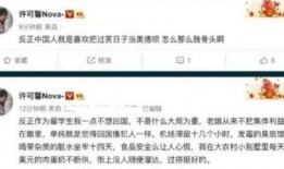 许可馨最新消息爆料,揭露惊人内幕，引发社会热议