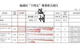 莎头最新动态和爆料2025,揭秘明星背后的故事与蜕变