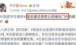 许可馨最新消息爆料,揭露惊人内幕，引发社会热议