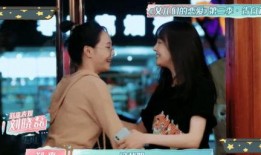 张恒和郑爽最新爆料,揭秘娱乐圈夫妻恩怨真相