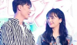 张恒和郑爽最新爆料,揭秘娱乐圈夫妻恩怨真相